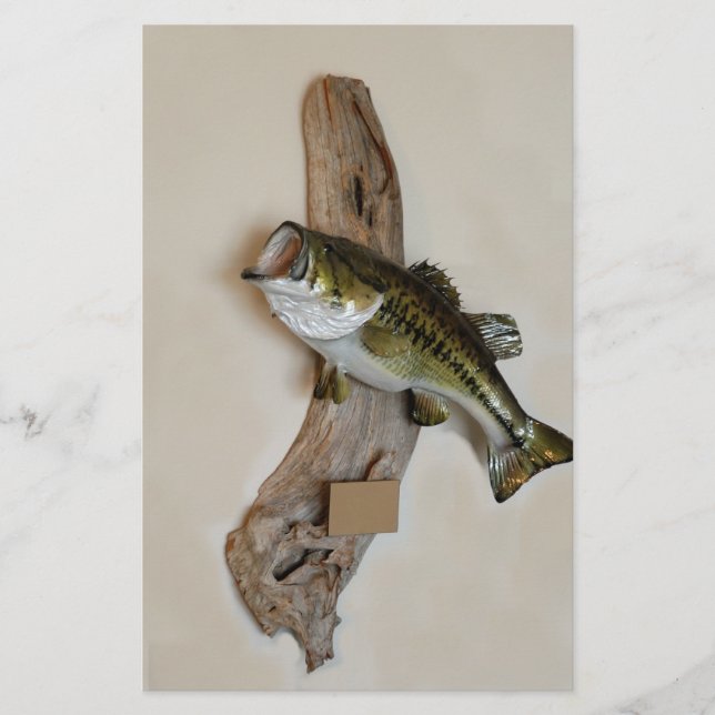 Flyer lubina de boca grande (Frente)