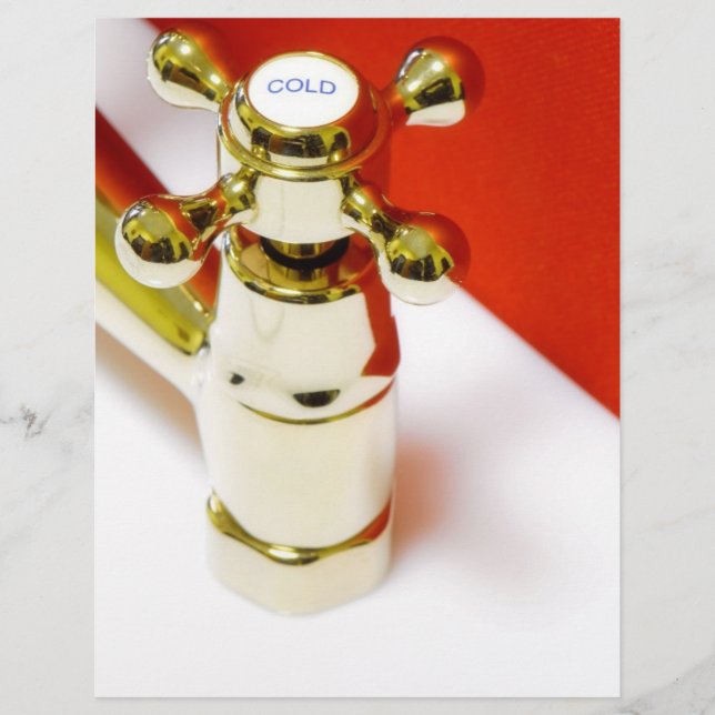 Flyer Mango cruzado de Faucet (Frente)