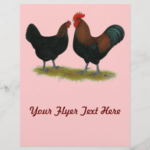 Flyer Marans Copper Negro