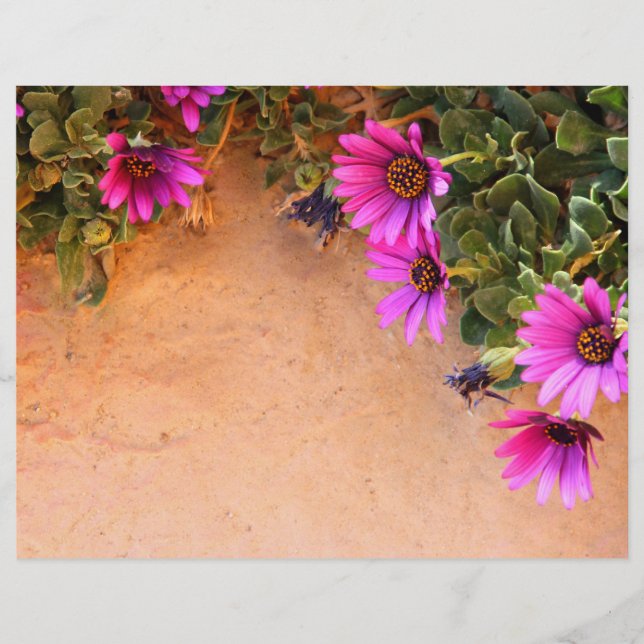 Flyer Marco de flores (Frente)