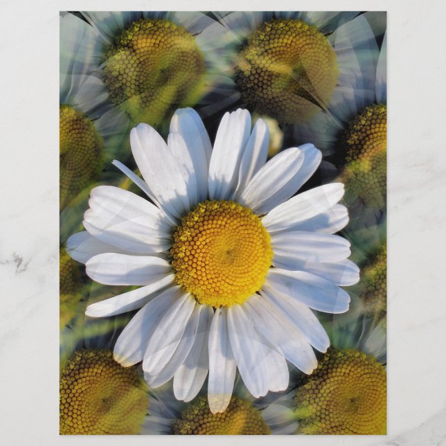 FLYER MARGARITAS (Frente)