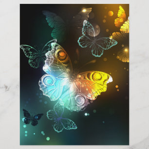 Flyer Mariposa luminosa y mariposas nocturnas