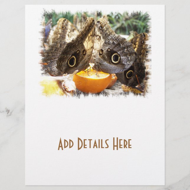 FLYER MARIPOSAS (Frente)