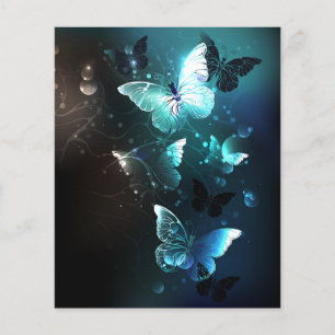 Flyer Mariposas nocturnas