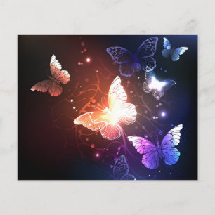 Flyer Mariposas nocturnas brillantes