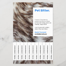 Flyer Mascota de moda, servicios de sentados y fotografí