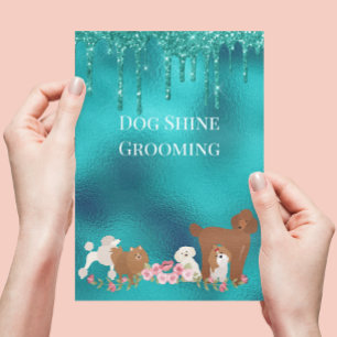 Flyer Mascota de perro Grooming Sitting Purpurina de neg