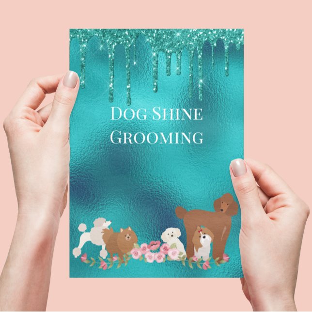 Flyer Mascota de perro Grooming Sitting Purpurina de neg (Subido por el creador)