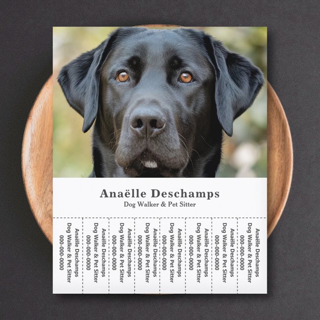 Flyer Mascota de The Sitter de The Dog Walker - Lágrima  (Dog Walker Pet Sitter Photo Tear Off Strips Flyer)