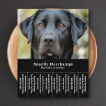 Flyer Mascota de The Sitter de The Dog Walker - Lágrima<br><div class="desc">Un volante negro elegante y minimalista con tiras de desgarro con una foto de personalizable de un lindo Labrador negro, perfecto para caminante de perros y niñera mascota, educador de comportamiento canino, groomer. ¡Puedes reemplazar la foto con tu propio logo! ¡En la parte de atrás hay un patrón de garra...</div>