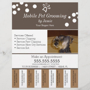 Flyer Mascota Servicios Crecer Perro Lágrima De Tiras Fl