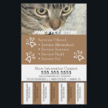 Flyer Mascota Servicios Perro de negocios Lágrima de tir<br><div class="desc">Volantes modernos para Mascotas de negocios</div>
