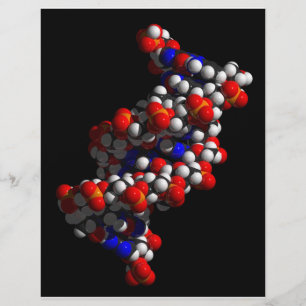 Flyer Modelo Helix Doble de ADN