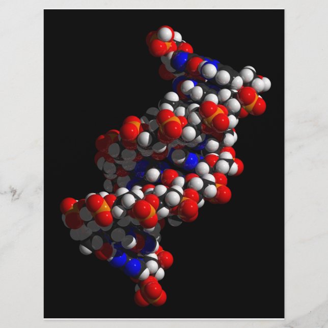 Flyer Modelo Helix Doble de ADN (Frente)