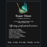 Flyer Moderna Casa Comercial Profesional de Limpieza de<br><div class="desc">Moderna Casa Comercial Profesional de Limpieza de Mata</div>