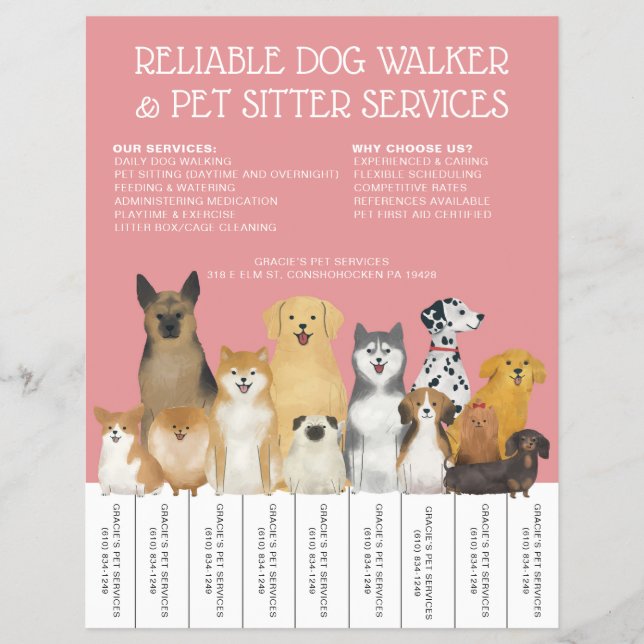 Flyer Moderno perro Walker Mascota Sitter Rosa Simple St (Frente)