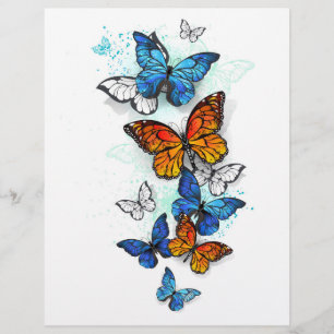 Flyer Morfo y monarca de las mariposas voladoras