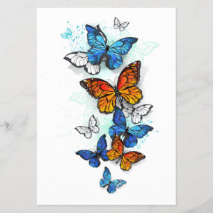 Flyer Morfo y monarca de las mariposas voladoras