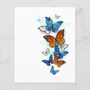 Flyer Morfo y monarca de las mariposas voladoras