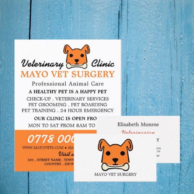 Flyer Naranja Dog, Veterinario, Servicio Veterinario (Subido por el creador)