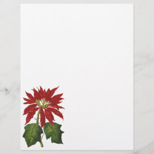 Flyer Navidad Vintage, Planta Invernal de Flor de Nocheb