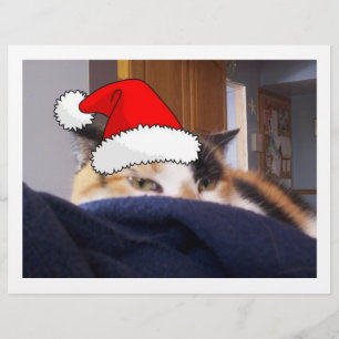 Flyer Navidades Calico Cat