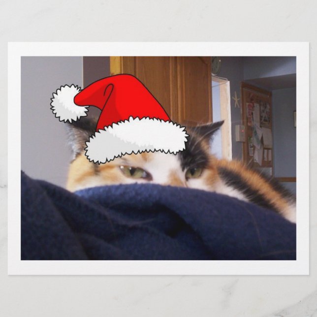 Flyer Navidades Calico Cat (Frente)