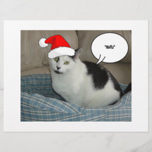 Flyer Navidades Gatito Blanco y Negro