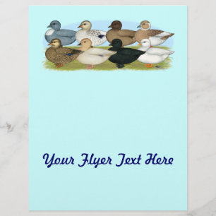 Flyer Ocho Ducks de llamadas