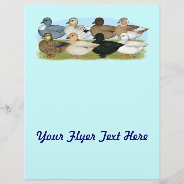 Flyer Ocho Ducks de llamadas (Frente)