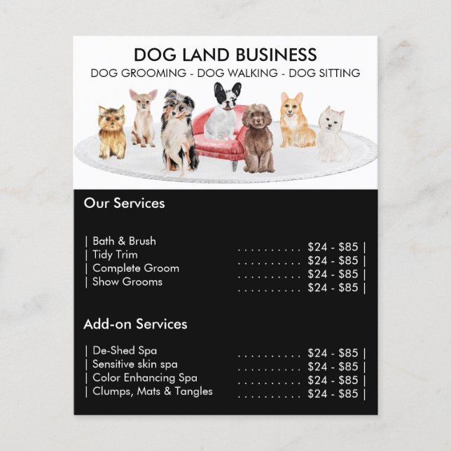 Flyer Oferta de servicio de Mascota de caminante de siem (Frente)