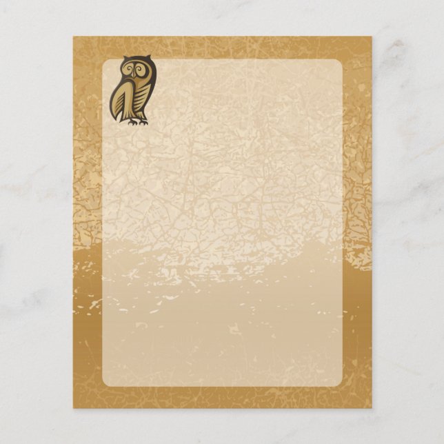 Flyer Owl Symbol Color (Frente)