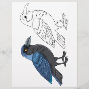 Flyer Página de color de pájaros de Personalizado lindo