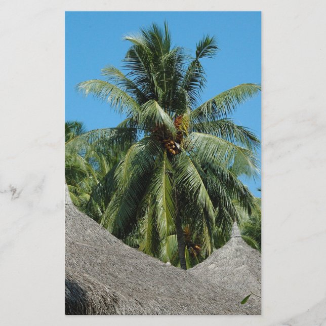 Flyer Palmera de coco (Frente)