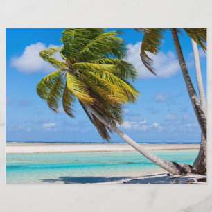 Flyer Palmeras en la playa del océano