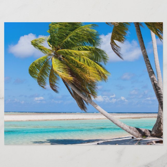 Flyer Palmeras en la playa del océano (Frente)