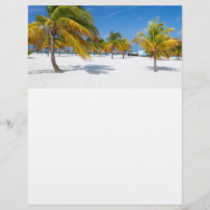 Flyer Palmeras en la playa del océano