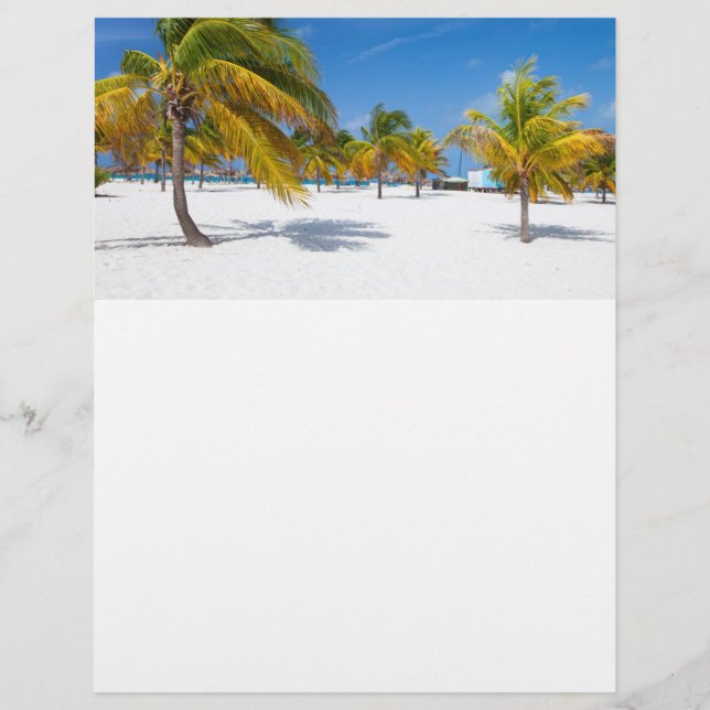 Flyer Palmeras en la playa del océano (Frente)