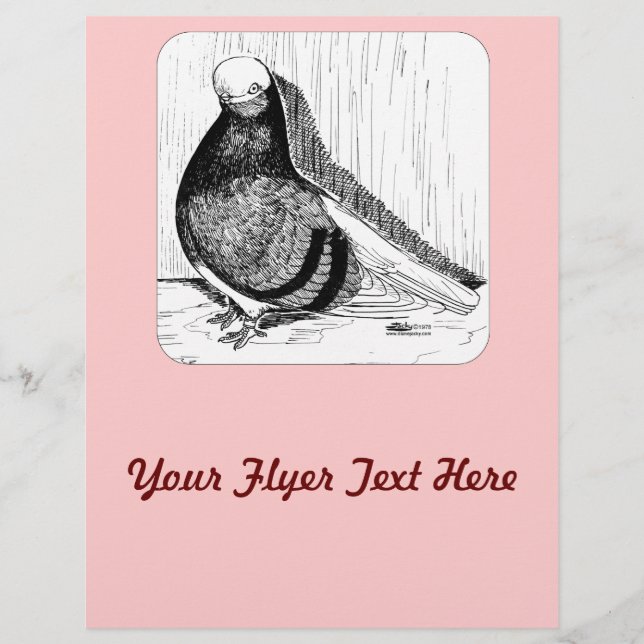 Flyer Paloma Inglesa de Cara Corta Calva 1978 (Frente)