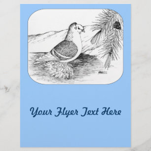 Flyer Paloma Saxon Shield 1973