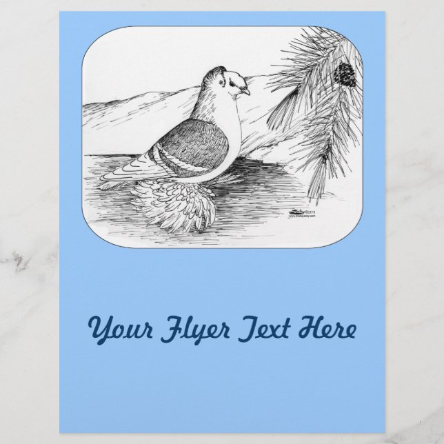 Flyer Paloma Saxon Shield 1973 (Frente)