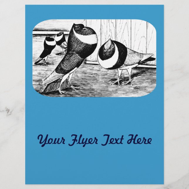 Flyer Palomas de Aachen Band Cropper (Frente)