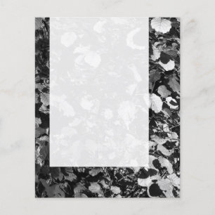 Flyer Panel 0112 - Saltos