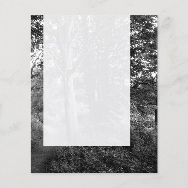 Flyer Panel 013 - En los bosques (Frente)