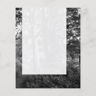 Flyer Panel 013 - En los bosques