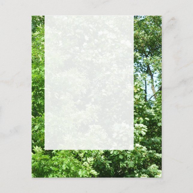 Flyer Panel 024 - Brisa de verano (Frente)