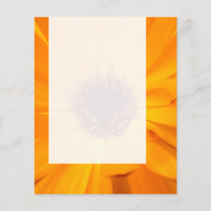 Flyer Panel 026 - Marigold Naranja