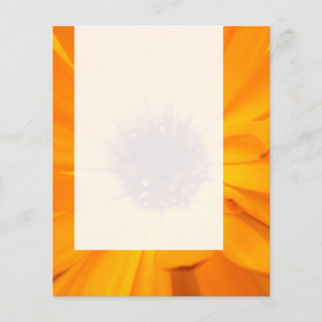 Flyer Panel 026 - Naranja Marigold (Frente)