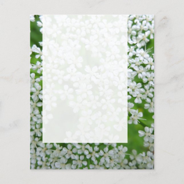Flyer Panel 02 - Cow Parsley (Frente)