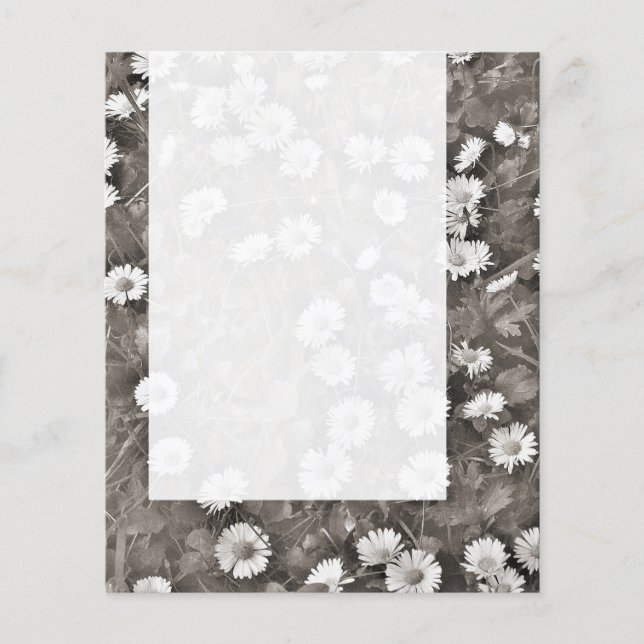 Flyer Panel 036 - El Antiguo Daisies (Frente)